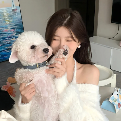 伪装大师2：完美骗局