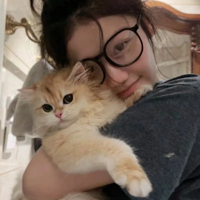 银河英雄传说 Die Neue These 策谋